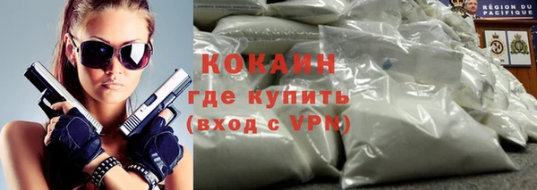 прущие грибы Володарск