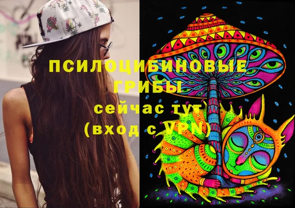 ECSTASY Волосово