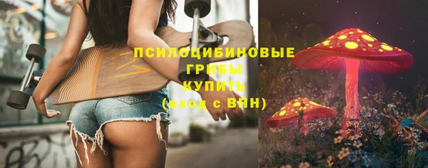 прущие грибы Володарск
